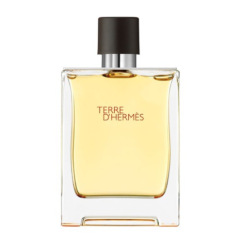 Hermes Terre D'Hermes Perfume